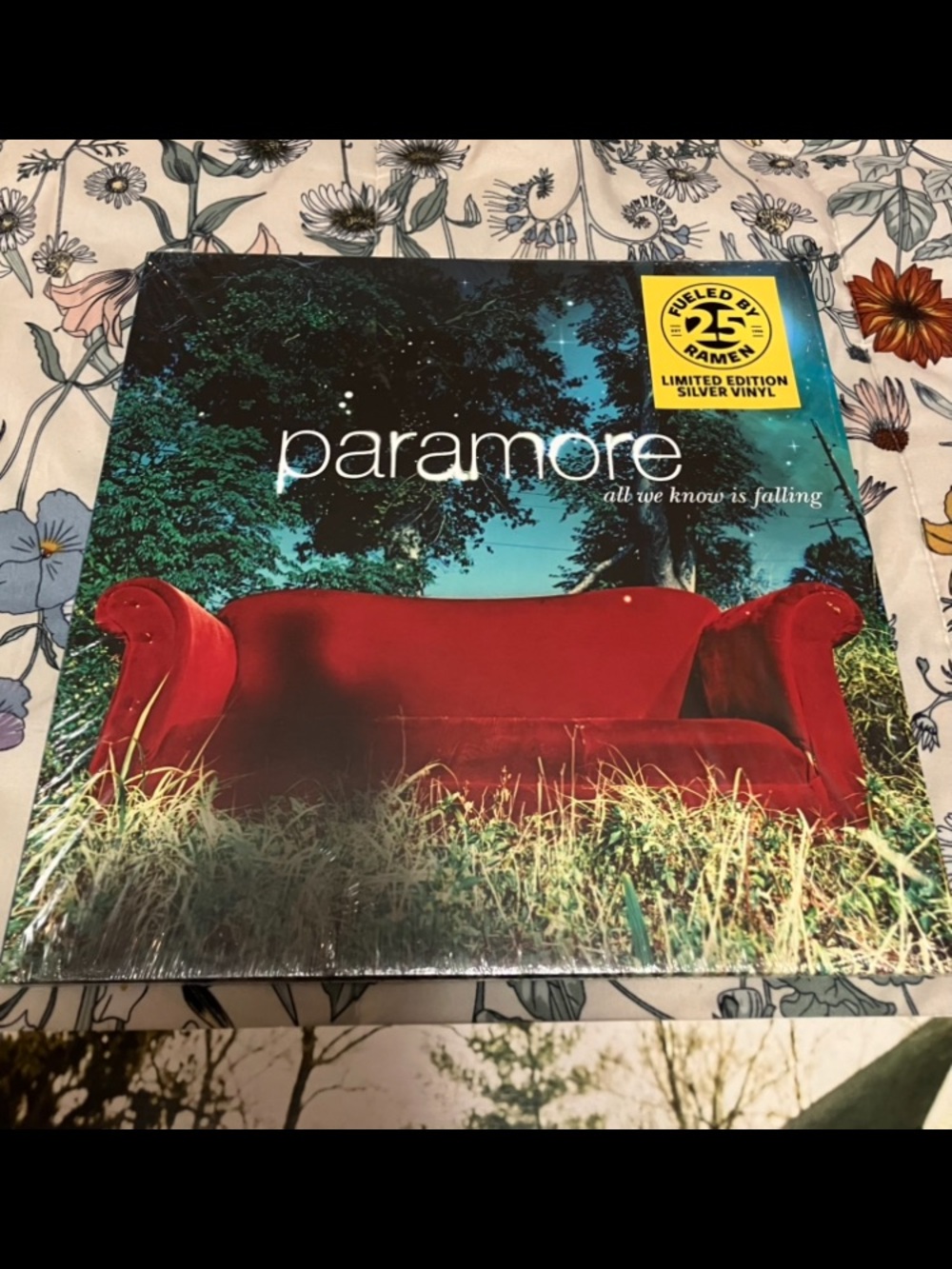 All We Know Is Falling Paramore